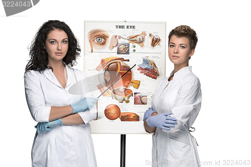 Image of two optician or oculist women telling about structure of the eye