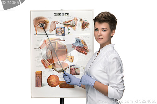 Image of Optician or oculist woman telling about structure of the eye