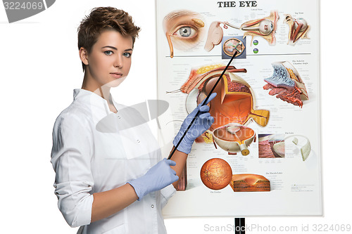 Image of Optician or oculist woman tells about structure of the eye