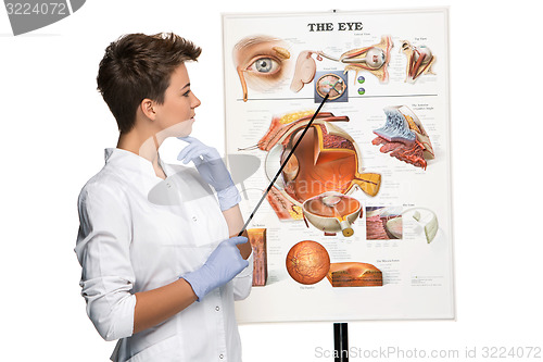 Image of Optician or oculist woman telling about structure of the eye