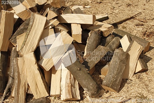 Image of Heap of chopped hornbeam firewood