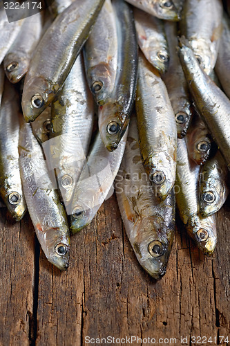 Image of Heap of small anchovies