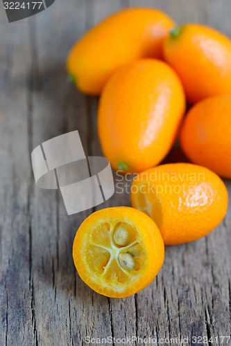 Image of Detail of Kumquat 