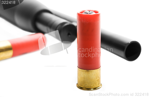 Image of Shotgun ammo