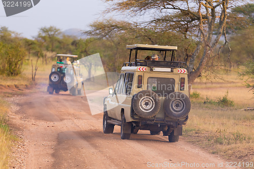 Image of Jeeps on african wildlife safari. 