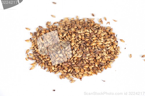 Image of malt grains