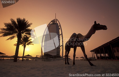 Image of ARABIA EMIRATES DUBAI
