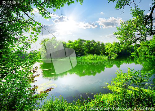 Image of Green spring on river