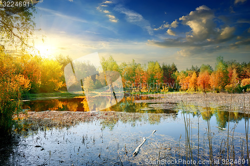 Image of Yellow autumn on river