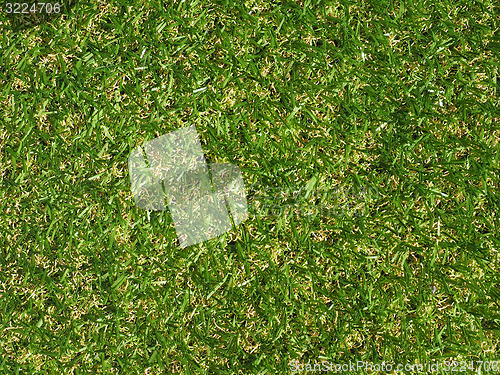 Image of Green artificial synthetic grass meadow background