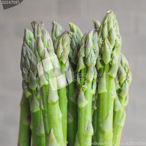 Image of Asparagus vegetable