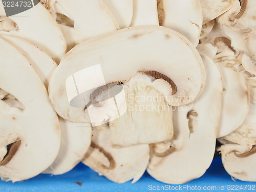 Image of Champignon mushroom