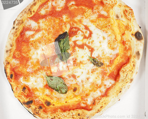 Image of Margherita pizza