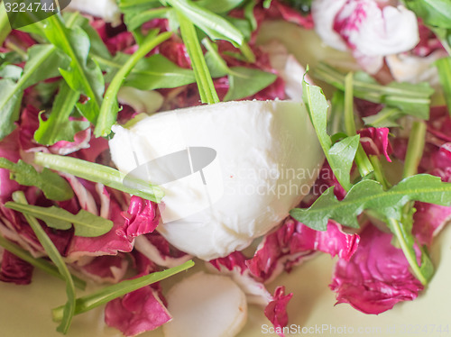 Image of Lettuce salad