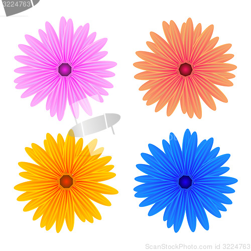 Image of Flowers