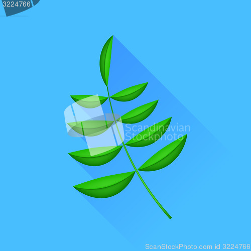 Image of Green Leaf