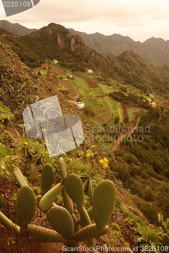 Image of SPAIN CANARY ISLANDS TENERIFE