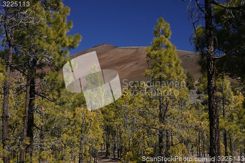 Image of SPAIN CANARY ISLANDS TENERIFE