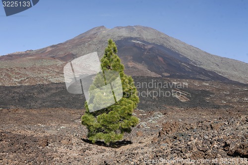 Image of EUROPA, SPANIEN, KANARISCHE INSELN, TENERIFFA, VULKAN, TEIDE,