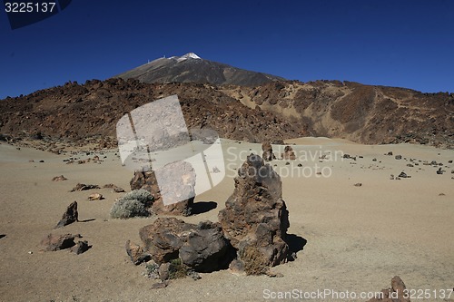 Image of SPAIN CANARY ISLANDS TENERIFE