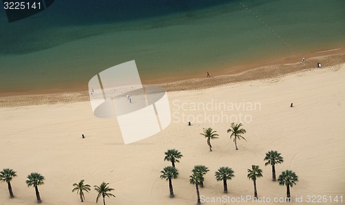 Image of EUROPA, SPANIEN, KANARISCHE INSELN, TENERIFFA, STRAND