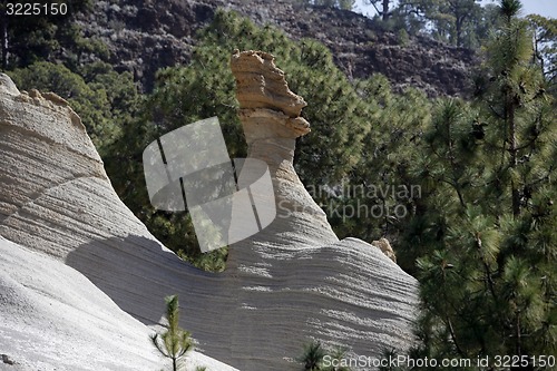 Image of SPAIN CANARY ISLANDS TENERIFE