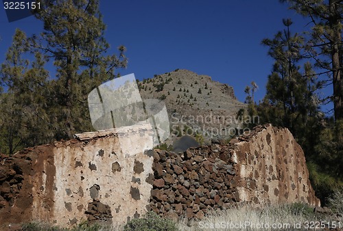 Image of SPAIN CANARY ISLANDS TENERIFE