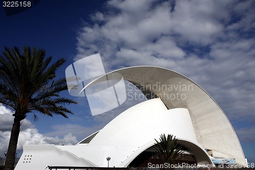 Image of SPAIN CANARY ISLANDS TENERIFE