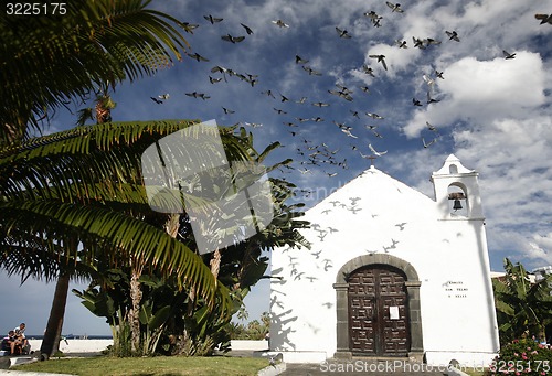 Image of SPAIN CANARY ISLANDS TENERIFE