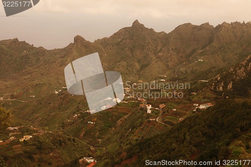 Image of SPAIN CANARY ISLANDS TENERIFE