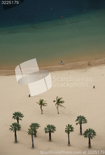 Image of SPAIN CANARY ISLANDS TENERIFE