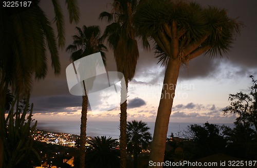 Image of SPAIN CANARY ISLANDS TENERIFE