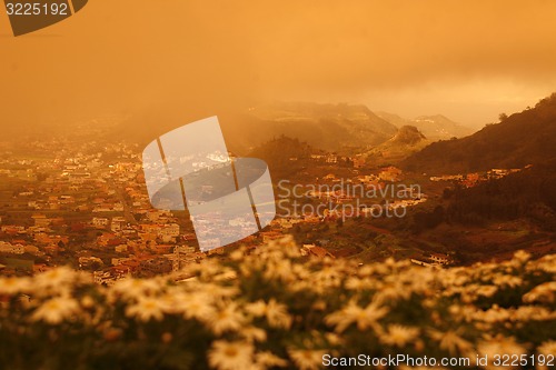 Image of SPAIN CANARY ISLANDS TENERIFE