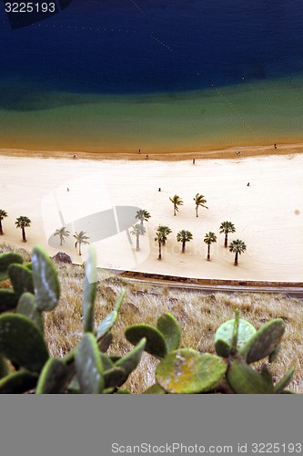 Image of SPAIN CANARY ISLANDS TENERIFE