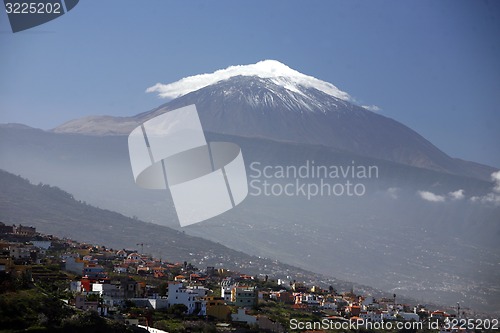 Image of SPAIN CANARY ISLANDS TENERIFE