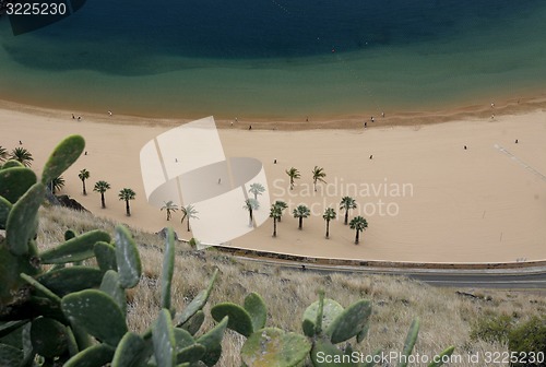 Image of SPAIN CANARY ISLANDS TENERIFE