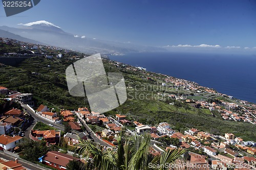 Image of SPAIN CANARY ISLANDS TENERIFE