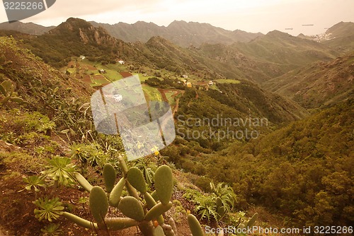 Image of SPAIN CANARY ISLANDS TENERIFE