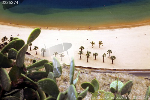 Image of SPAIN CANARY ISLANDS TENERIFE