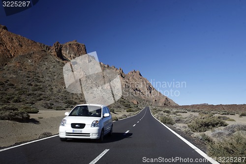 Image of SPAIN CANARY ISLANDS TENERIFE