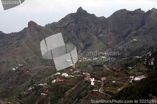 Image of SPAIN CANARY ISLANDS TENERIFE