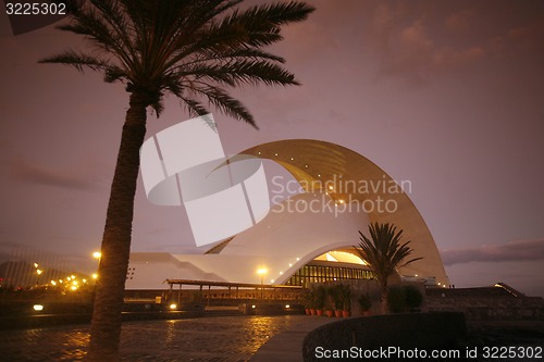 Image of SPAIN CANARY ISLANDS TENERIFE