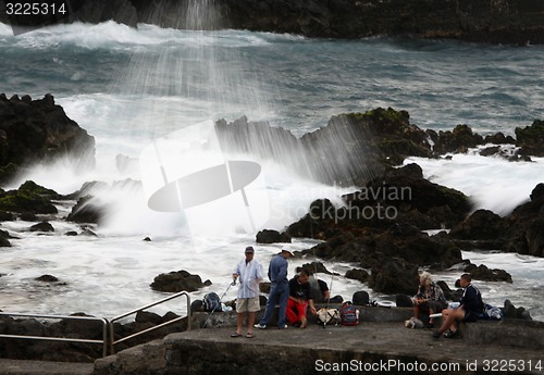 Image of SPAIN CANARY ISLANDS TENERIFE