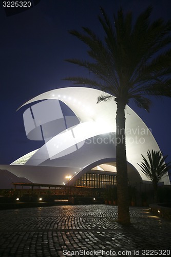 Image of SPAIN CANARY ISLANDS TENERIFE