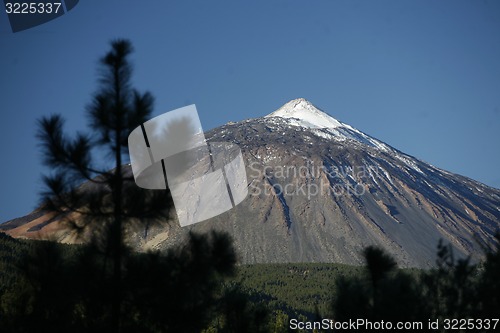 Image of SPAIN CANARY ISLANDS TENERIFE