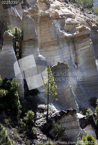 Image of SPAIN CANARY ISLANDS TENERIFE