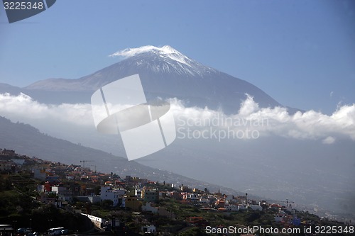 Image of SPAIN CANARY ISLANDS TENERIFE