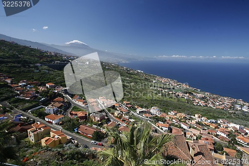 Image of SPAIN CANARY ISLANDS TENERIFE