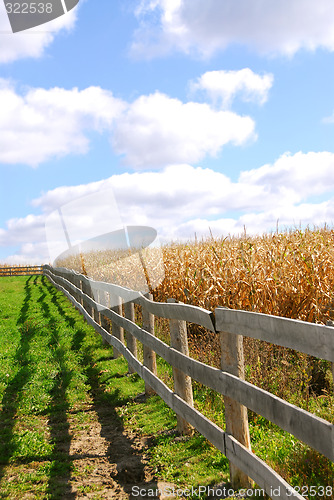 Image of Rural landscape