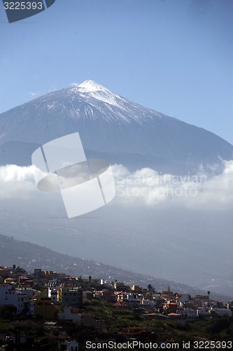 Image of SPAIN CANARY ISLANDS TENERIFE